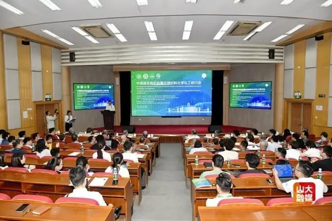 Baolongda and you deeply focus on the Sino Russian Green Organic Silicon Polymer Materials Chemistry and Chemical Industry Seminar
